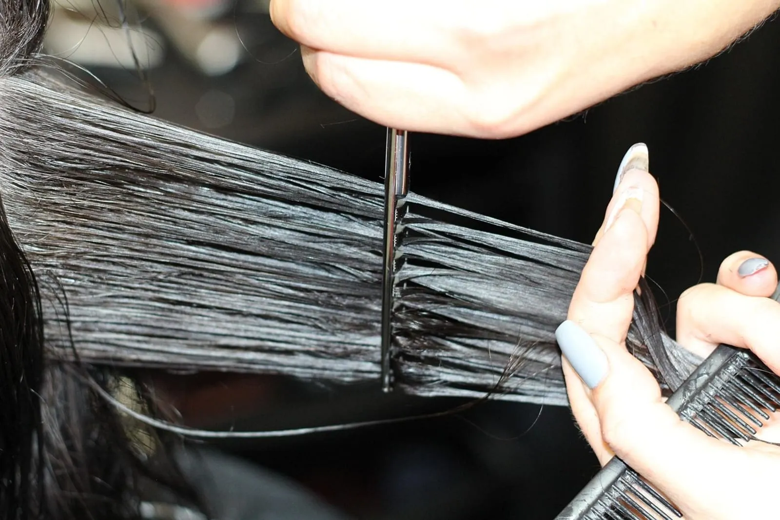 Hairdresser cutting a client's gray hair with scissors and a comb